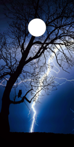 NIGHT FLASH